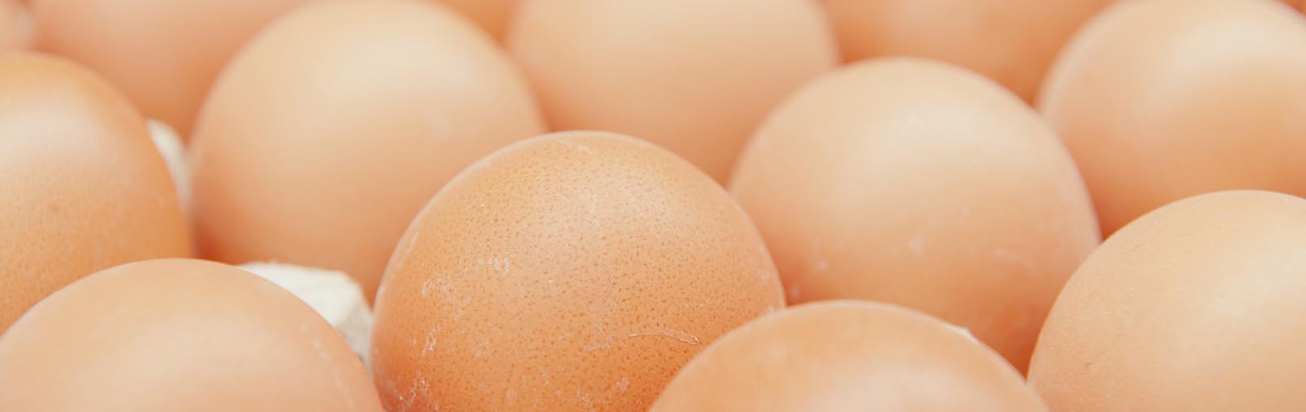 Eieren