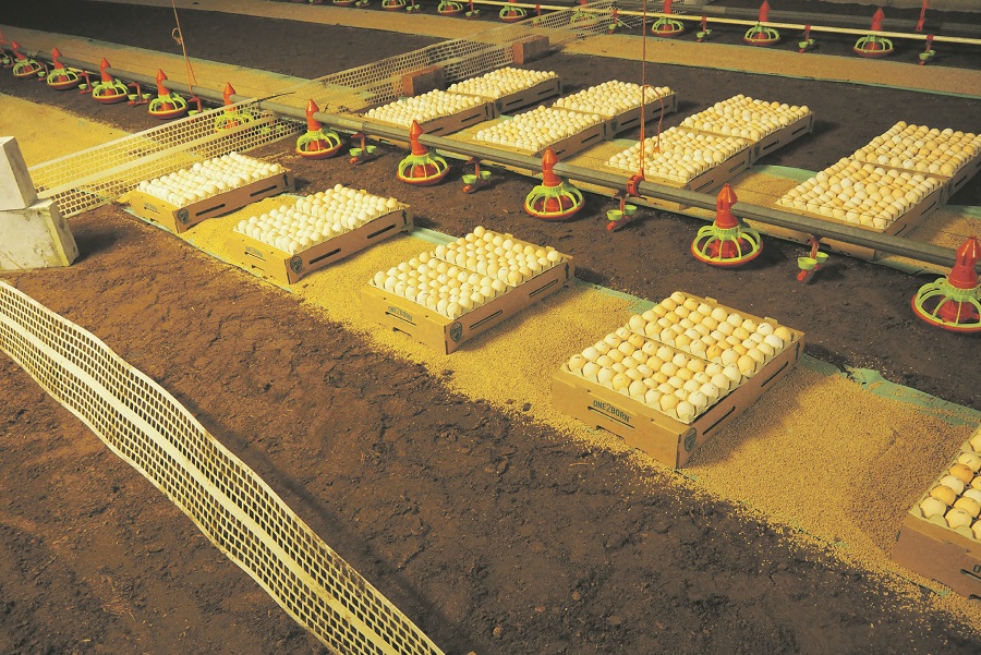 One2born concept getest als methode om kruisbesmetting te doorbreken