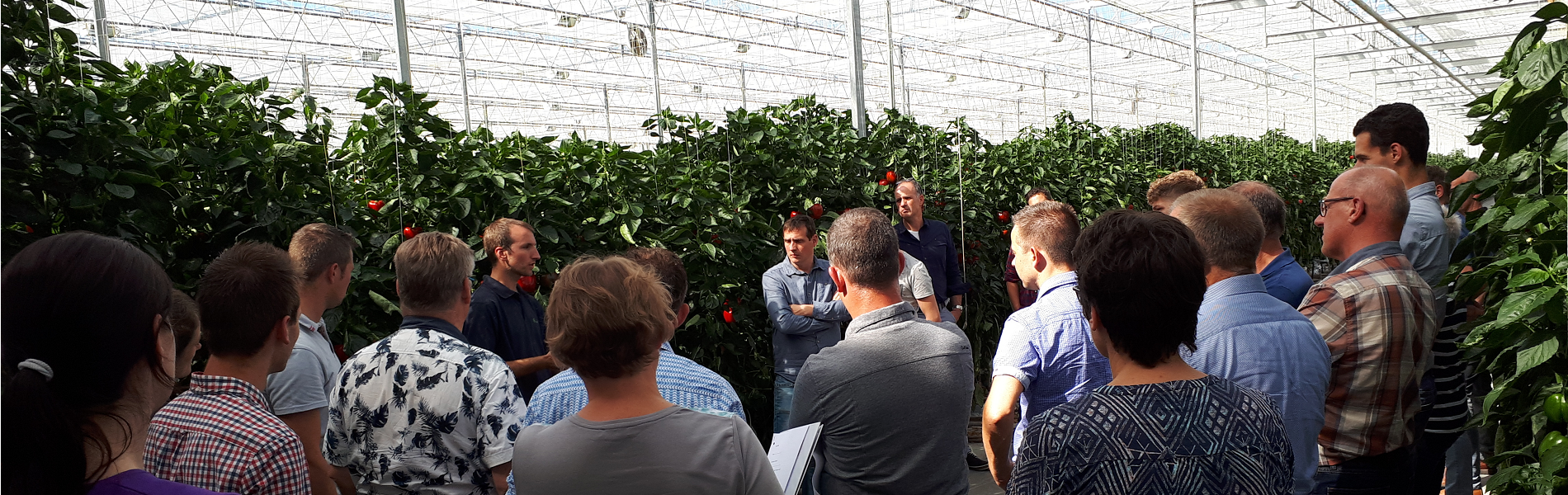 Project Implementatie van IPM voor vogelmijt op praktijkbedrijven gestart