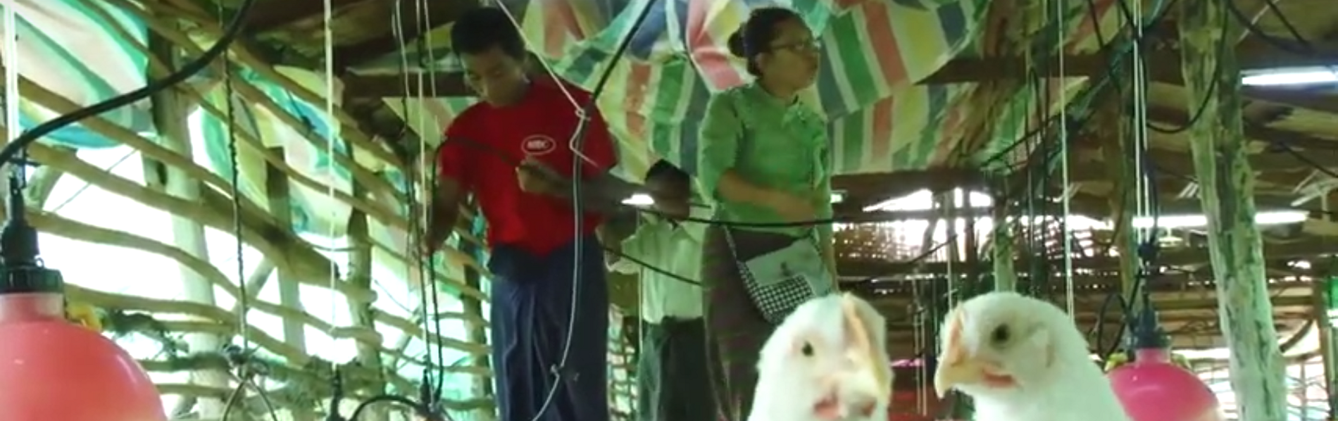 Bijzondere samenwerking in Myanmar