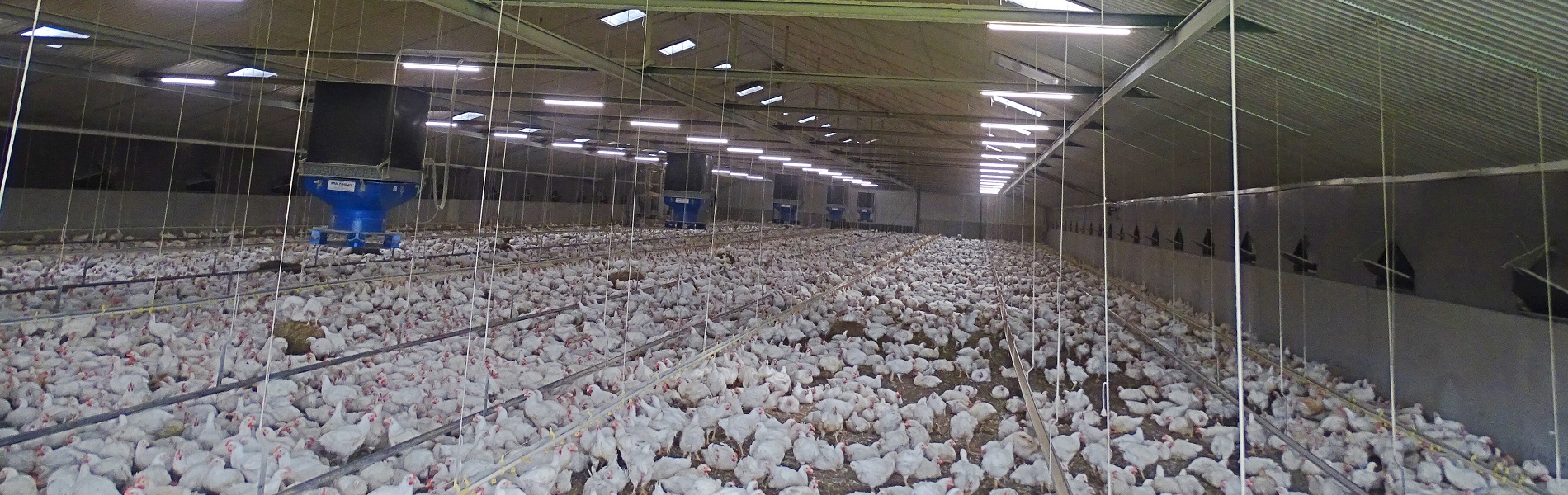 Eerste resultaten fijnstofstudie veelbelovend